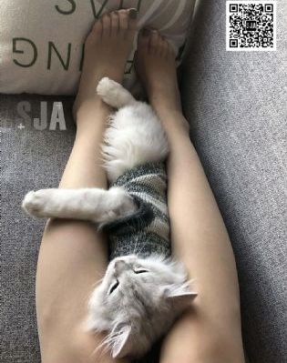 高潮喷吹一区二区在线观看_DVD免费在线播放
