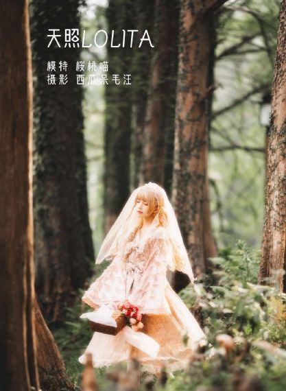 久久精品视频网站_免费观看高清版